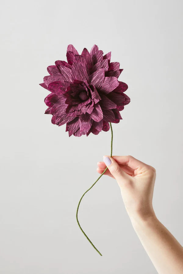 Flor de papel GRAND DAHLIA - AUBERGINE-flores de papel-monoccino