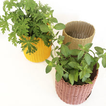 Cargar imagen en el visor de la galería, Mini Planters de PEAD Reciclado-Bin-monoccino