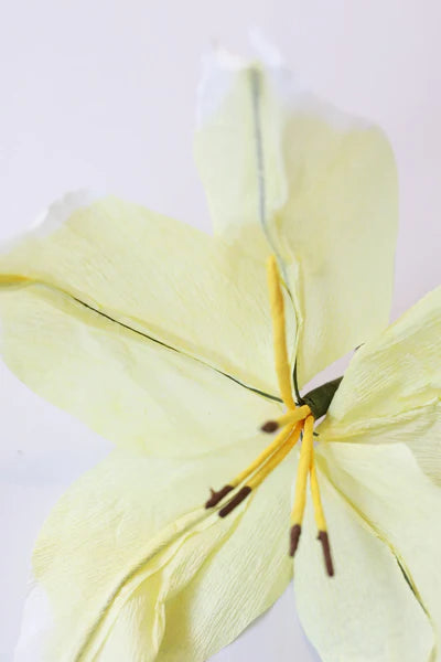 Flor de papel LILY YELLOW-flores de papel-monoccino