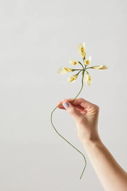 Flor de papel AFRICAN LILY YELLOW-flores de papel-monoccino